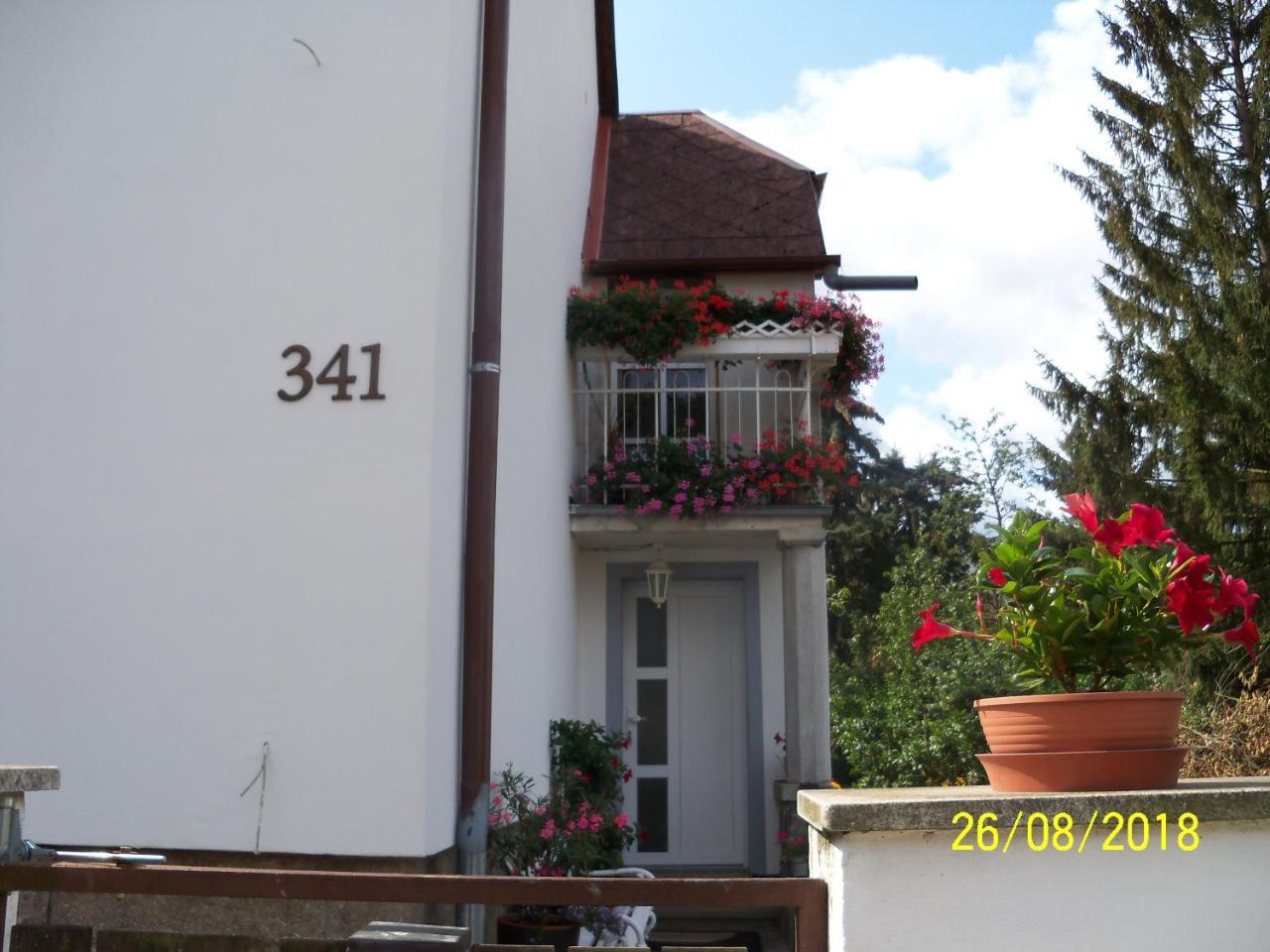 Penzion IV Hazlov Exterior foto